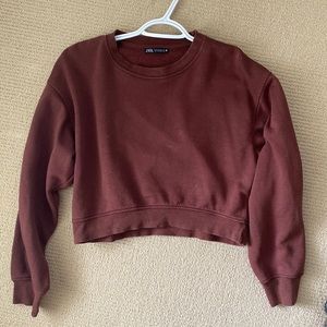 Zara Brown Sweatshirt 🤎